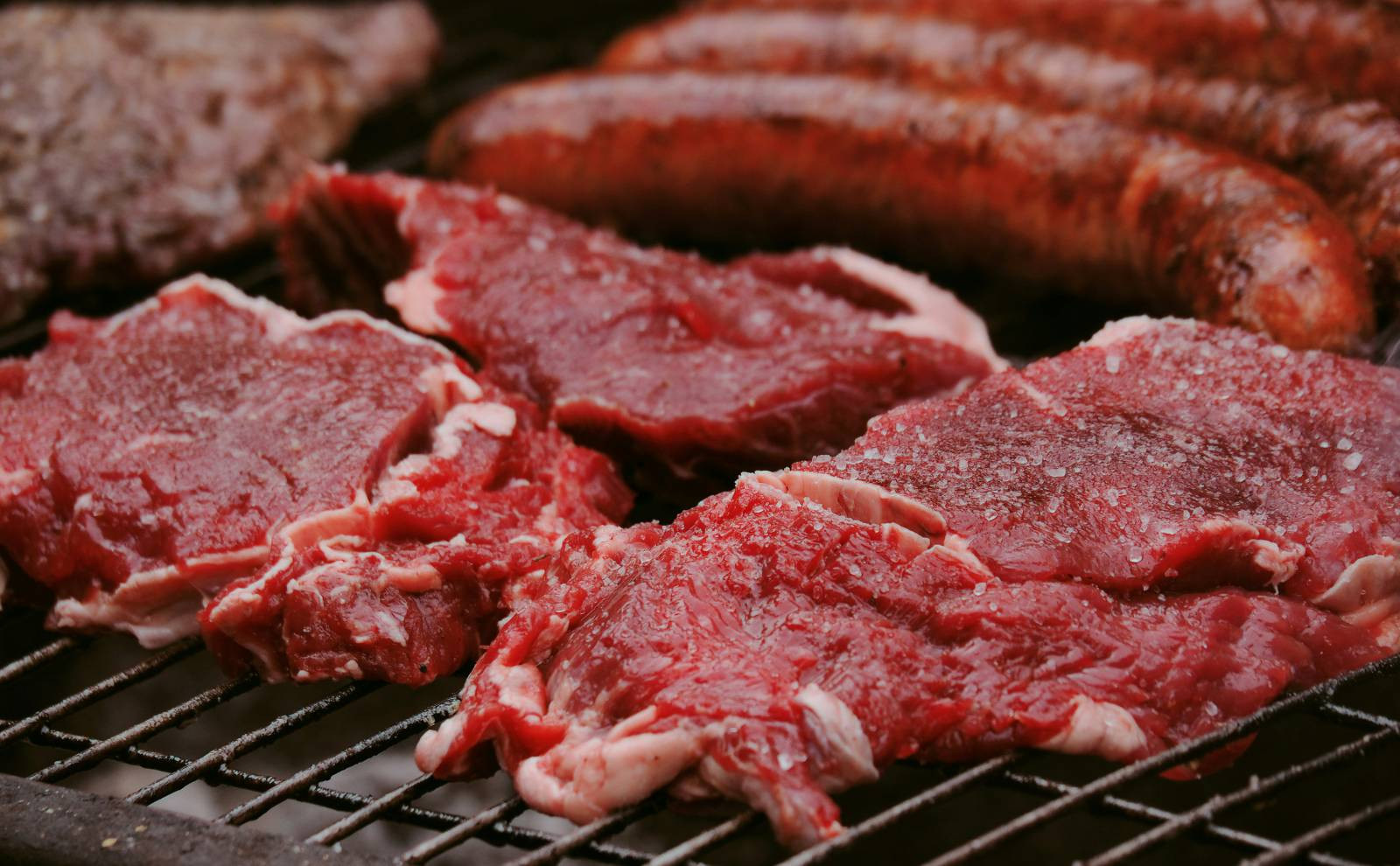 Carnivore diéta