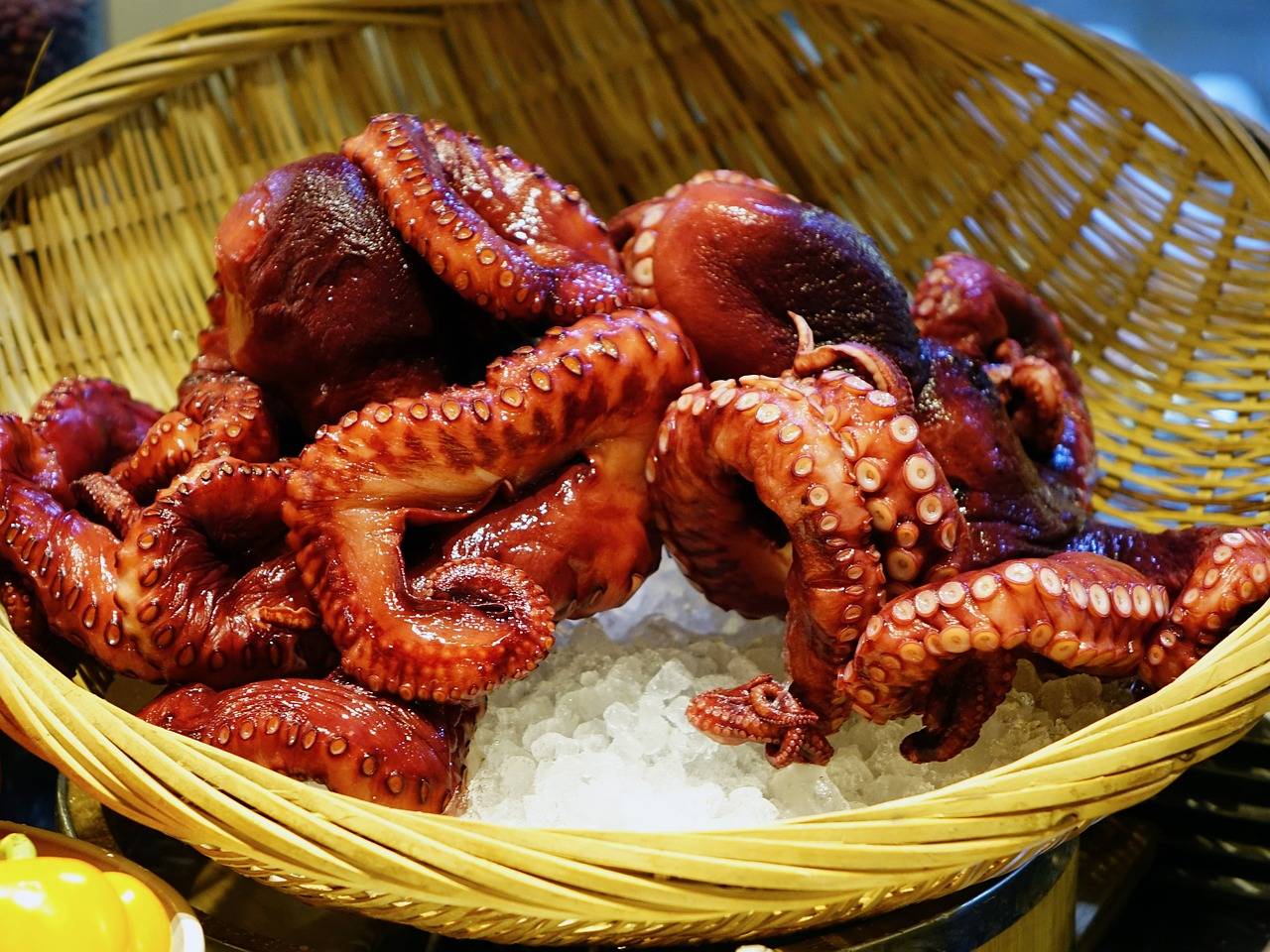 Grilovaná chobotnica